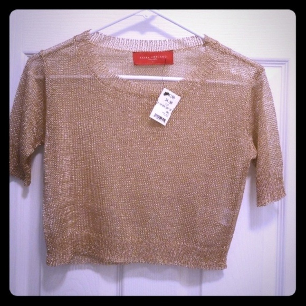 Akira Chicago (Red Label): Rose Gold Mesh Crop Top